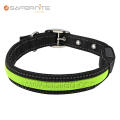 Premium Adjustable Flashing Lighted Led Dog Collar